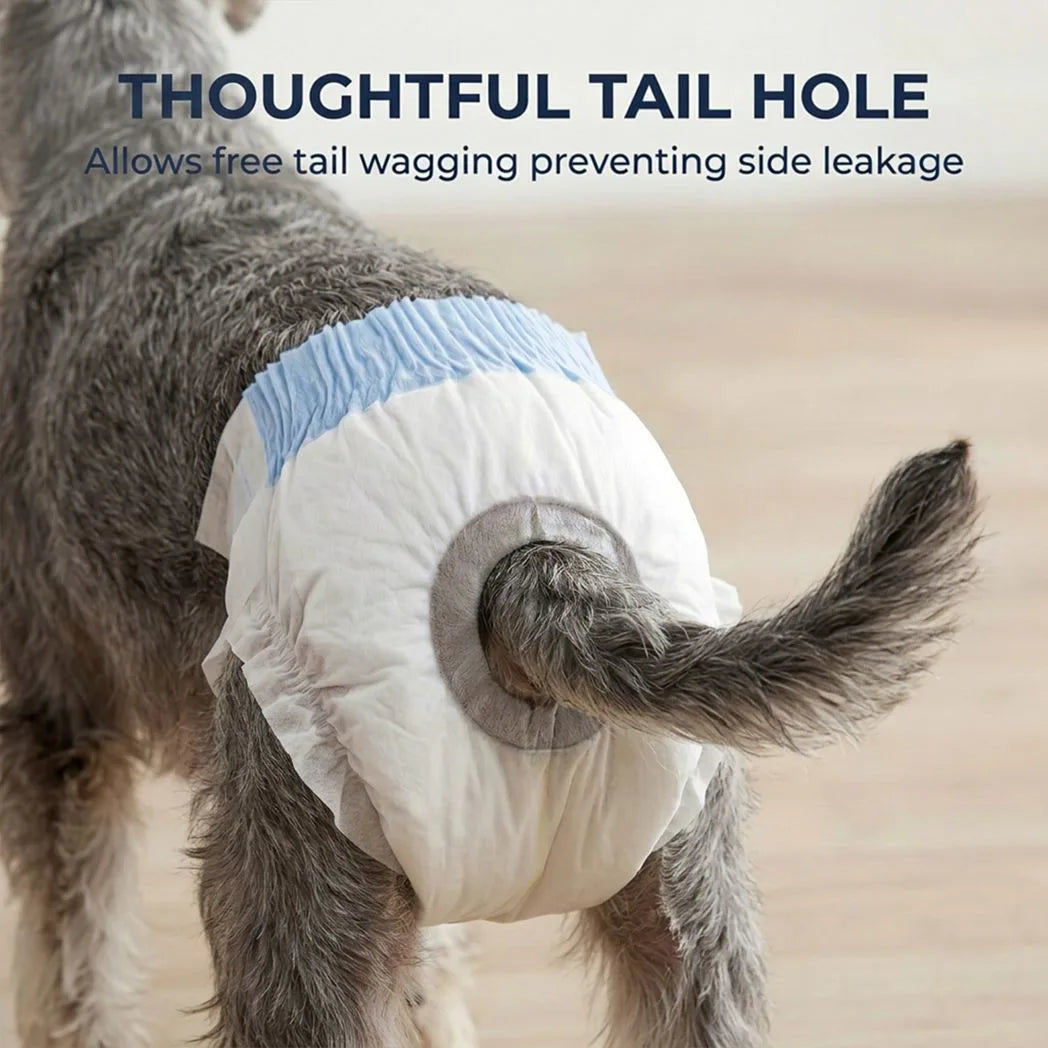 PawHut Disposable Dog Diapers for Female Dogs, 48 Count, 6-Layer Leakproof Core – Incontinence Nappies, Size M