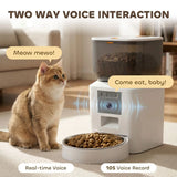 PawHut Automatic Cat Feeder with Camera, 4L WiFi APP Control, 1–10 Meals, 2-Way Audio & Dual Power Supply