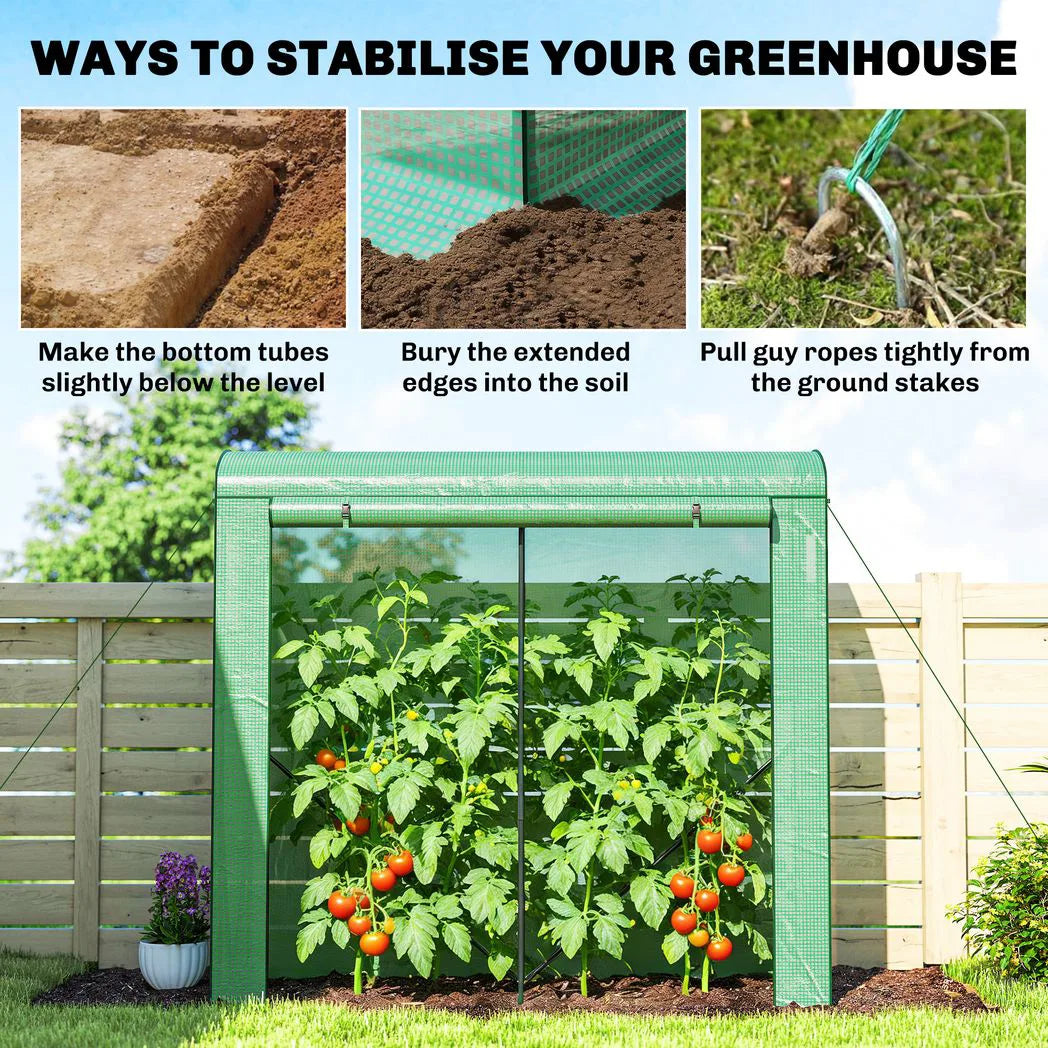 Outsunny Walk-In Mini Greenhouse with Roll-Up Door and 2 Mesh Windows, PE Cover, 200 x 75 x 188 cm, Green