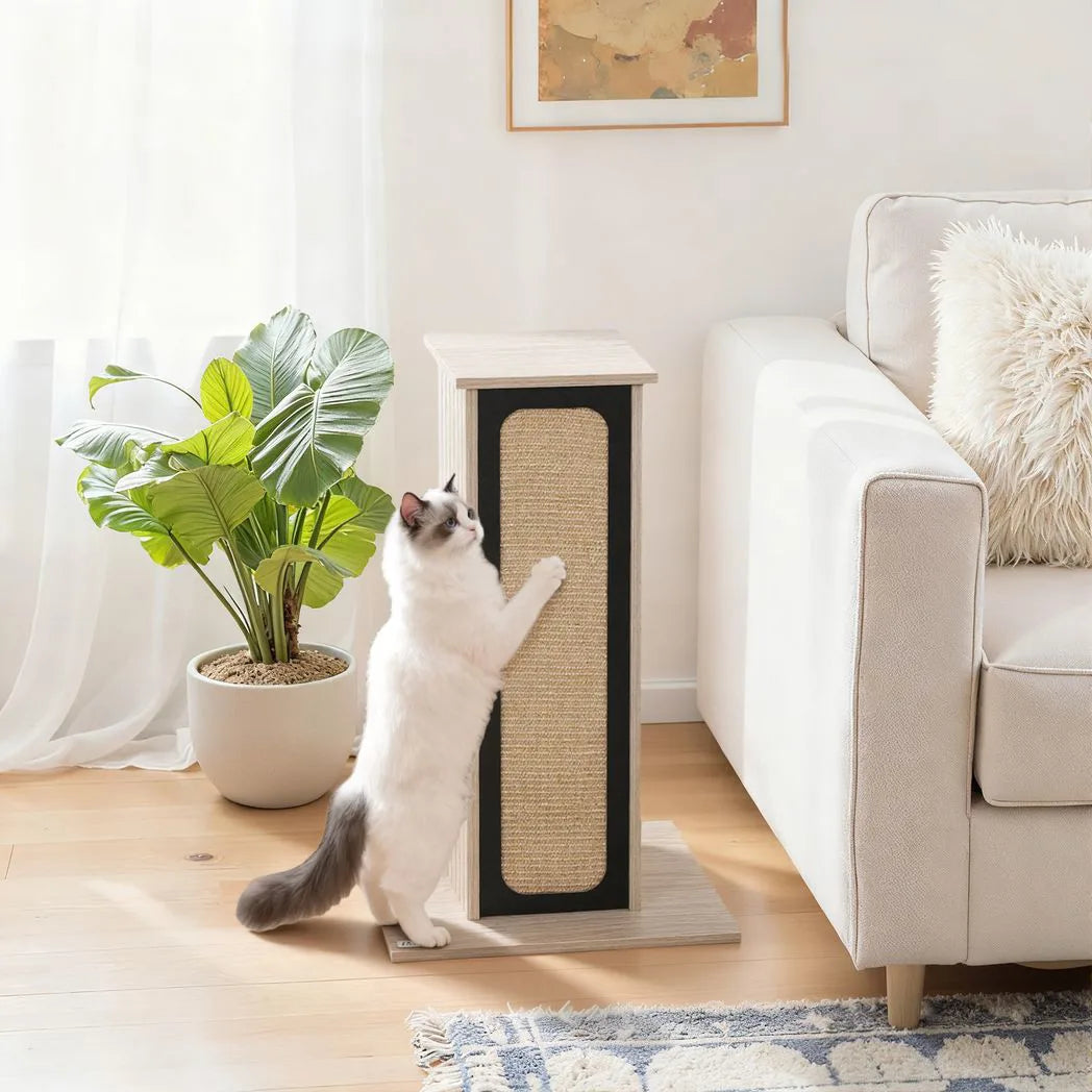 PawHut 63cm Cat Scratching Post with Replaceable Scratching Board, Top Perch & Sisal Scratch Mat – Oak