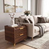 HOMCOM Two-Drawer Bedside Table with Gold-Tone Handles and Anti-Tipping Straps – Nightstand, Walnut Brown