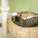 PawHut 72cm Cat Tree with Sisal Scratching Post, Two Beds & Toy Ball – Kitten Activity Tower, Beige