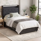 HOMCOM 3ft Single Ottoman Bed Frame with Hydraulic Storage, LED Lights, Charging Station and Headboard – Black