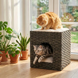 PawHut 2-Tier Wicker Cat House with Cushion – Handwoven Rattan Indoor Cat Bed, Grey