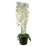 110cm Large White Artificial Orchid Plant with 41 Real Touch Flowers – Lifelike Wired Stems