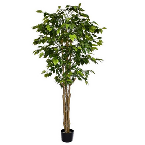 180cm artificial ficus retusa tree