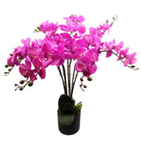 Leaf 85cm Artificial Deluxe Bush Orchid with 56 Flowers – Large Table Decoration, Dark Pink, Black Pot