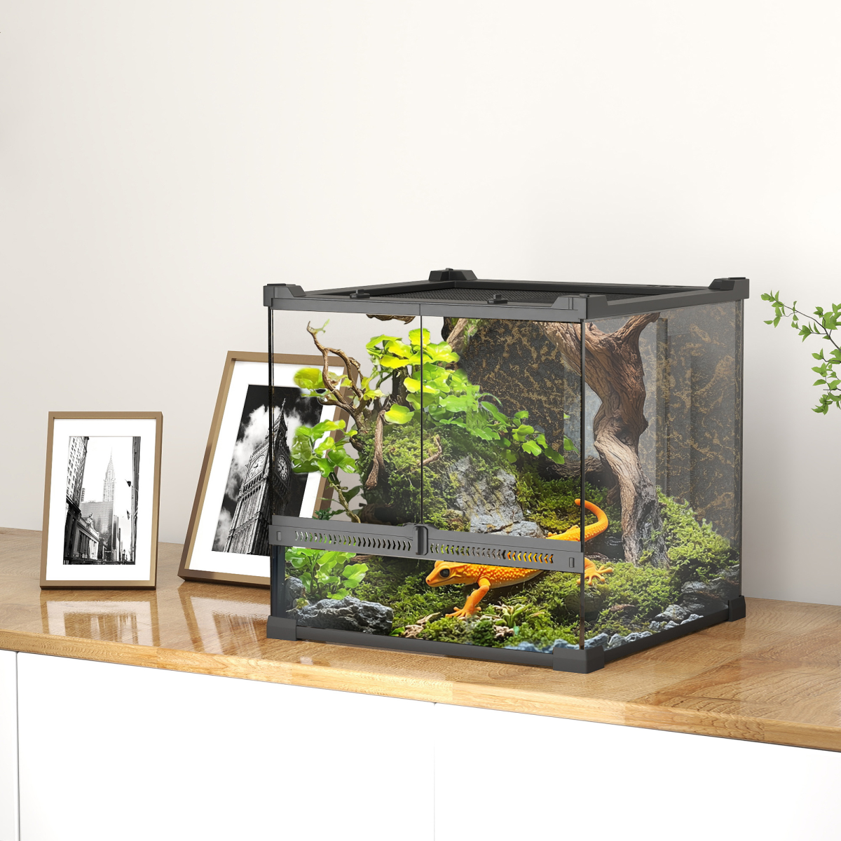 Glass Reptile Terrarium with Rock Background, Lockable Door & Ventilated Lid – 24L Waterproof Base for Wet Setups, Black
