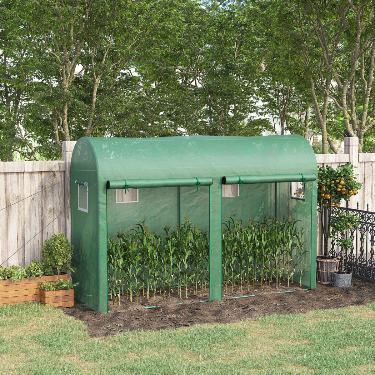 Walk-in Greenhouse with 2 Roll-up Doors & 4 Windows – Galvanised Steel Frame Grow House, 300 x 100 x 200cm, Green