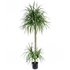 180cm artificial dracaena tree