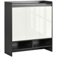 White gloss shoe cabinet