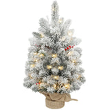 HOMCOM 60 cm Prelit Tabletop Christmas Tree with 35 LEDs and Timer – Snow Flocked Mini Tree, Battery Operated