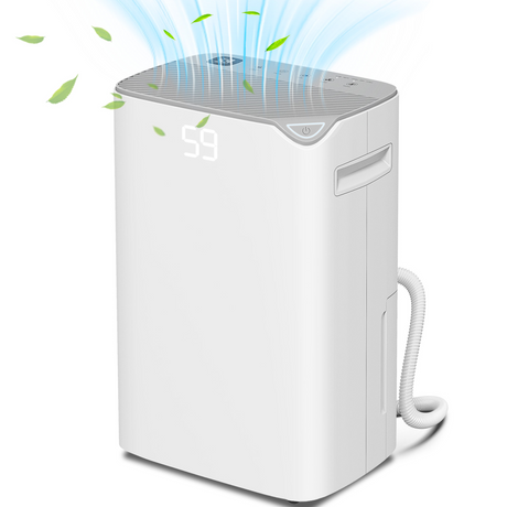 HOMCOM 20L compact dehumidifier with timer