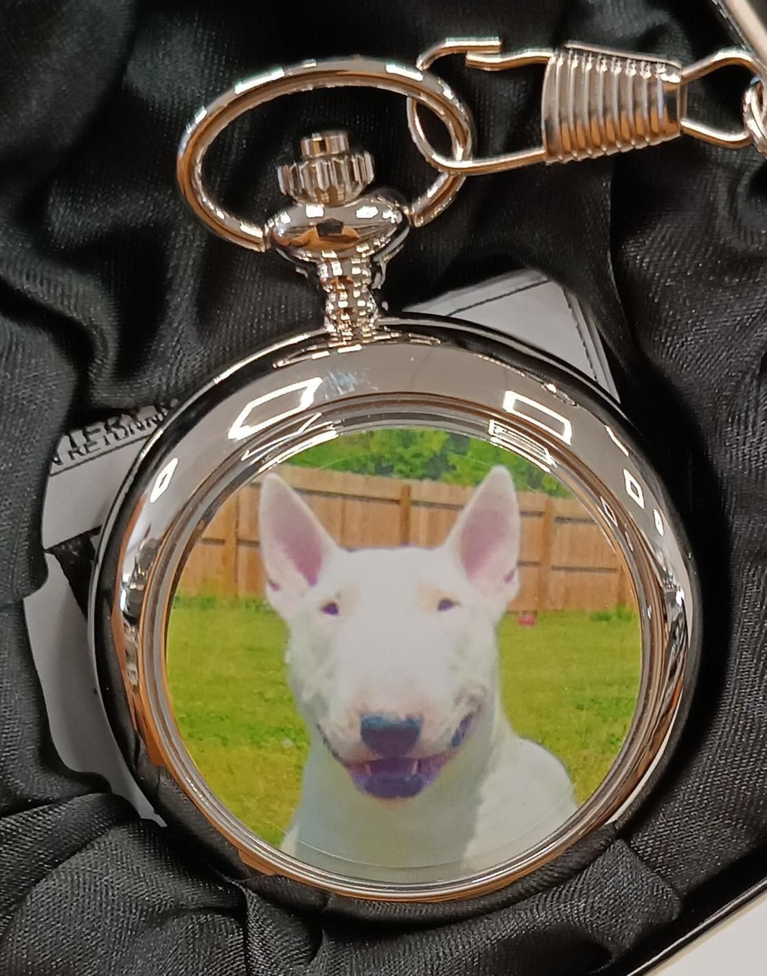 Boxx Picture Pocket Watch – Dog Design Pocket Watch with Picture, P5061.116