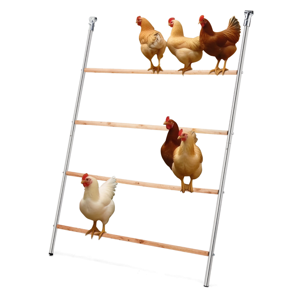 Outdoor Chicken Perch, 4-Level Round Tiered Metal & Wood Roost with Concave Platforms – 104 x 143cm