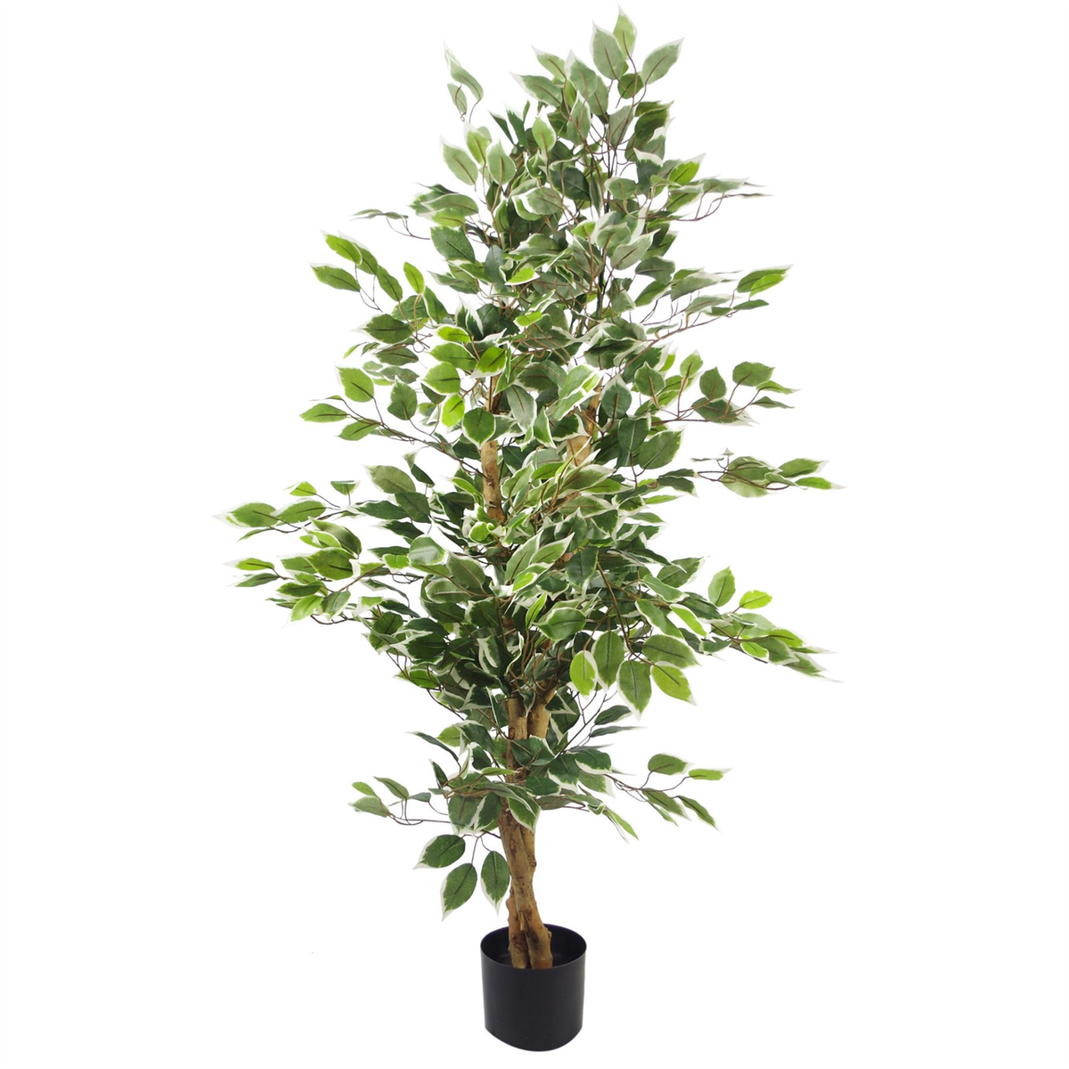 Artificial Variegated Ficus Tree 130cm – Bushy White and Green Silk Leaf Faux Plant, Potted