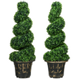 90cm spiral boxwood topiaries