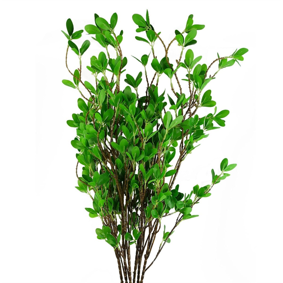 Leaf Large Artificial Mini Leaf Ficus Spray Stems with Wired Stalks, Pack of 6 – 100cm Foliage Decor