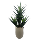 Artificial Agave Tropical Display in Decorative Pot – Realistic Faux Plant for Home & Office