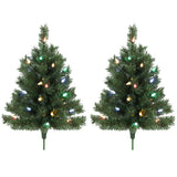 HOMCOM Set of 2 Pre-Lit 60 cm Outdoor Christmas Trees with Ground Stakes and 60 Multicolour LEDs, Green