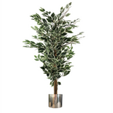130cm Variegated Artificial Ficus – Silver Planter