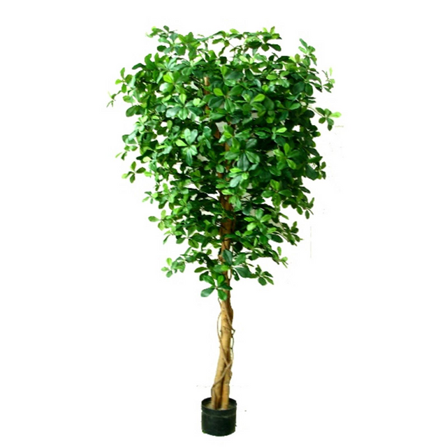 180cm artificial black olive tree