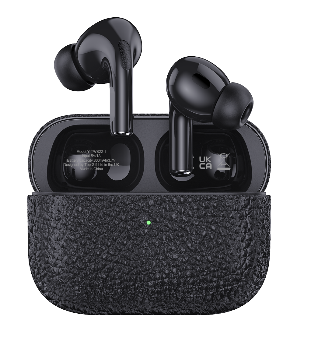 WYEWAVE Wireless Earbuds with Active Noise Cancelling, Bluetooth 5.3 – 20-Hour Charging Case, Black