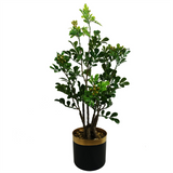 Leaf 60cm Artificial Aglaia Odorata Bonsai Ficus Tree in Pot – Shapeable Wired Branches