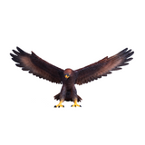 Mojo Golden Eagle Figurine – Realistic Bird of Prey Toy