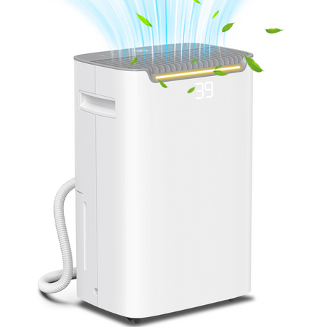 HOMCOM 20L dehumidifier with timer white