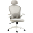 Vinsetto grey ergonomic mesh chair