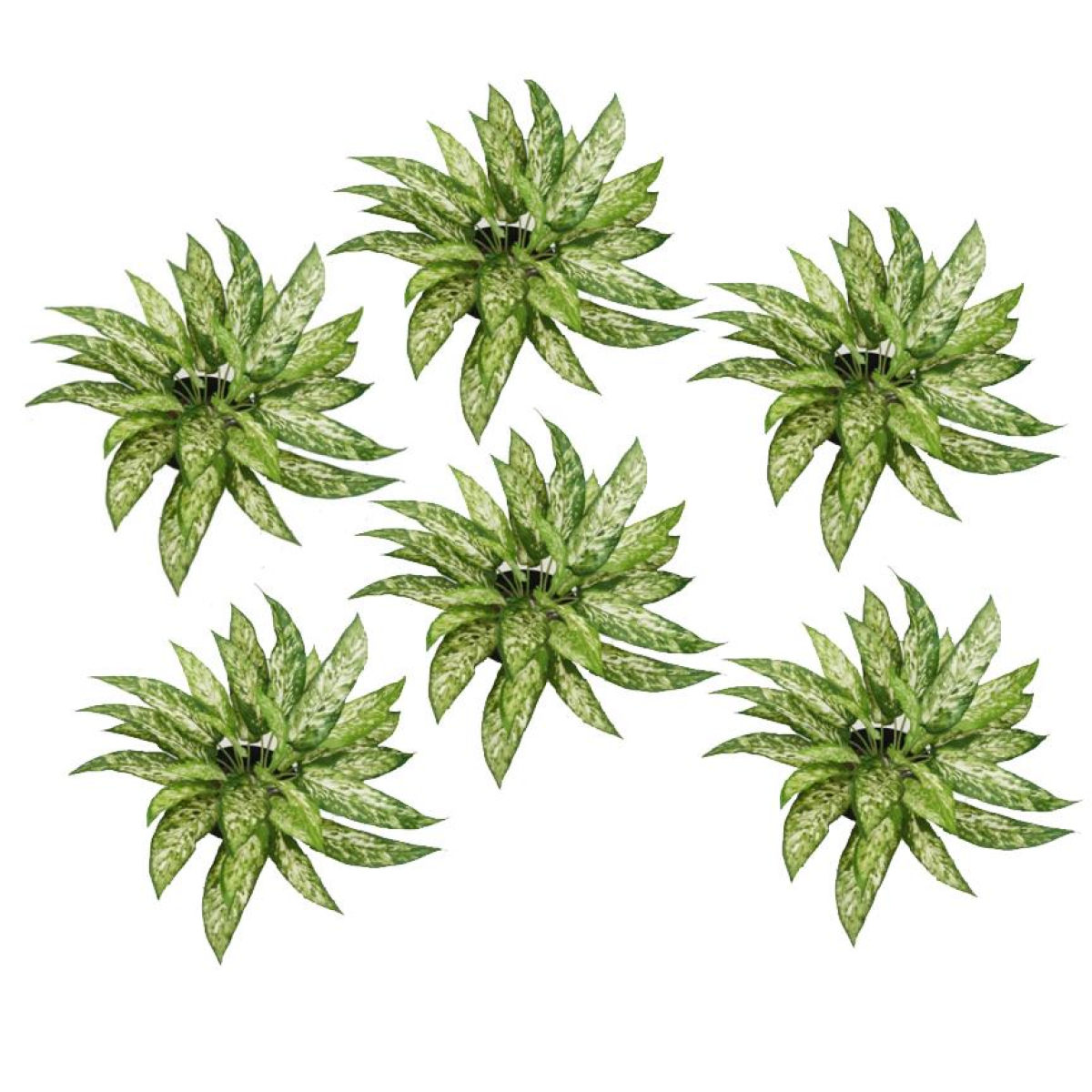 Leaf Pack of 6 Fire Retardant Artificial Aglaonema Bushes, 45cm – Low-Maintenance Greenery for Home & Office