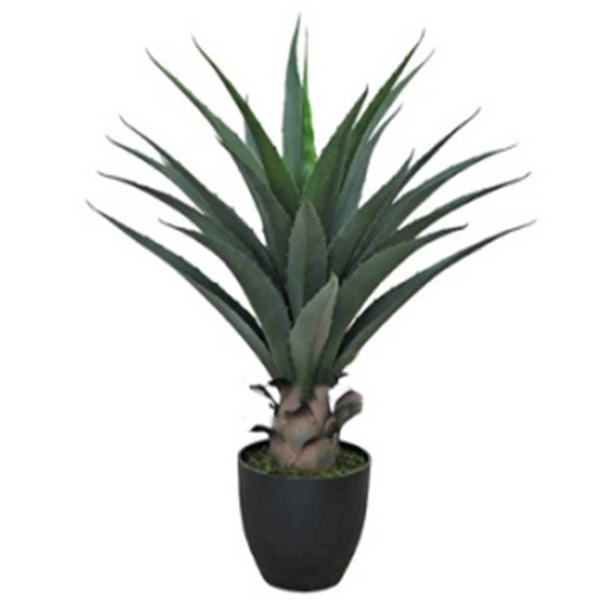 Leaf 70cm Artificial Agave Yucca Plant in Black Pot – Low-Maintenance Desert Greenery