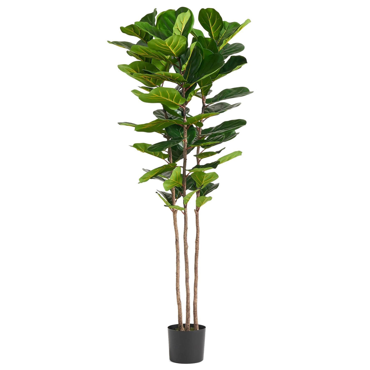 180cm Artificial Fiddle Leaf Fig Tree in Weighted Pot – Premium Realistic Faux Plant for Home