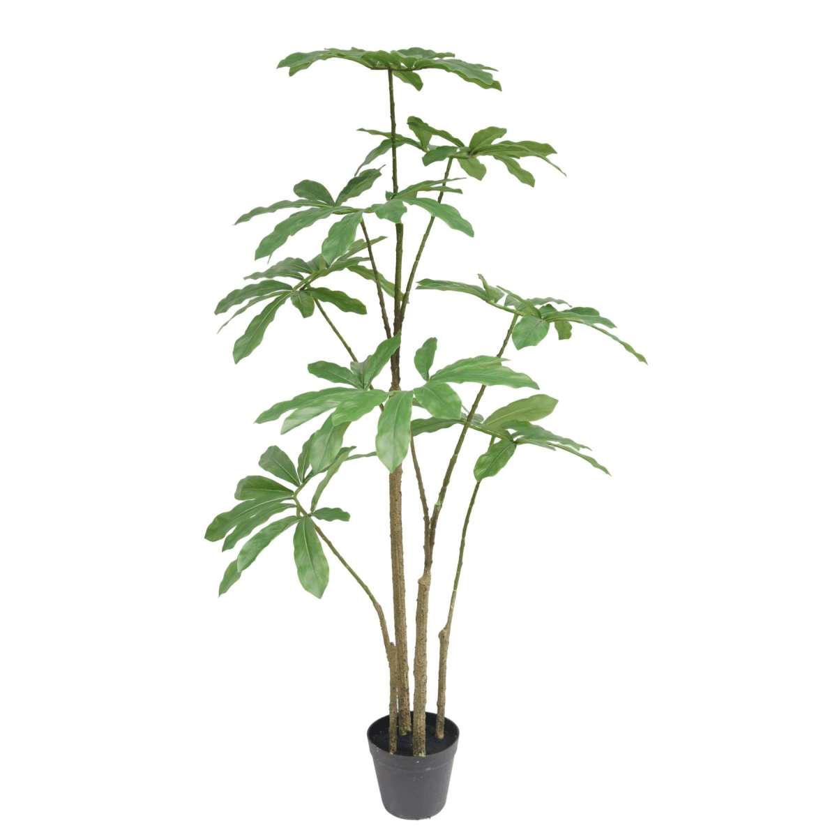Leaf 120cm Dwarf Umbrella Realistic Artificial Tree in Black Pot – Schefflera Arboricola, Wired Stems