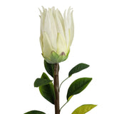 Leaf Protea Sugarbush Artificial Flower Stem with Silk Petals and Wired Stem – 65cm Home Decor, White