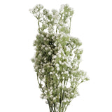 Leaf Large Artificial Gypsophila Foliage Spray with Wired Shapable Stems, Pack of 6 – 85cm Floral Decor, White
