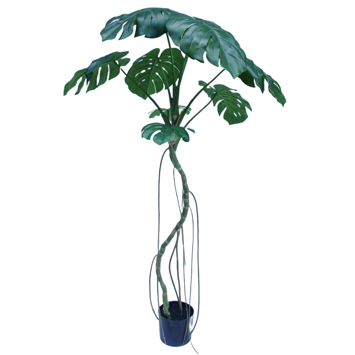 Leaf 180cm Realistic Artificial Monstera Tree in Black Pot – Large Faux Swiss Cheese Plant, Green