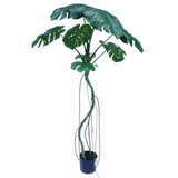 Leaf 180cm Realistic Artificial Monstera Tree in Black Pot – Large Faux Swiss Cheese Plant, Green