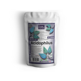 Dr Herbal Acidophilus 500 Million CFU Tablets – Live Friendly Bacteria Supplement for Digestive Balance, 90 Tablets