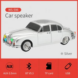 WSTER Wireless Bluetooth 5.0 Speaker with TF Card, USB & FM Radio – Deep Bass, Disco Light, Silver
