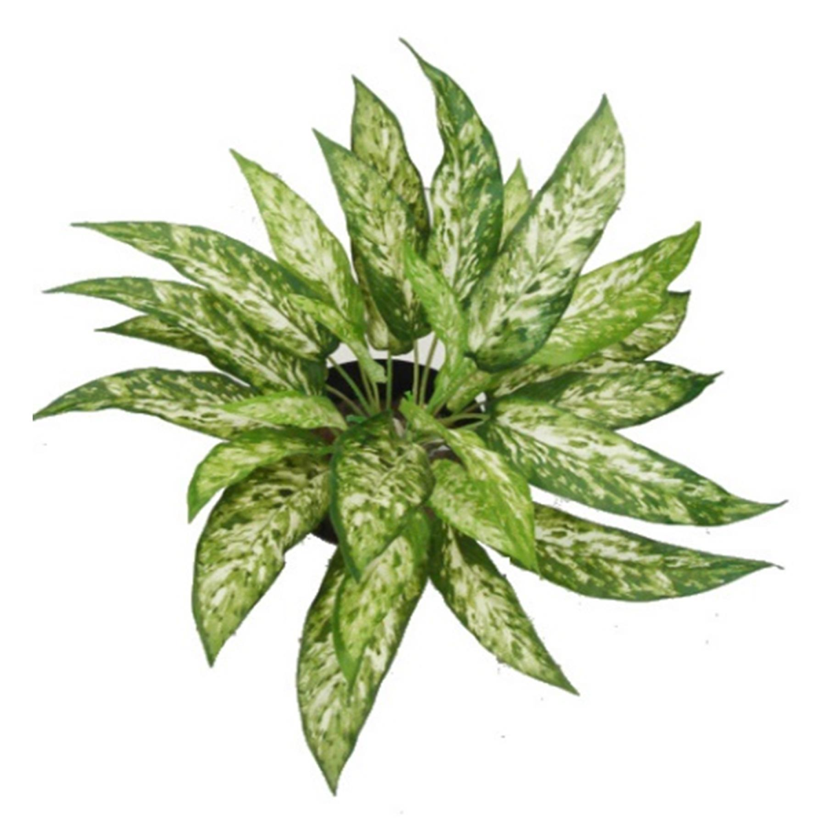 Fire Retardant Artificial Aglaonema Bush Plant, 45cm – Maintenance-Free Greenery, Bare Stem No Pot