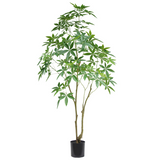Artificial Money Tree Pachira, 210cm Extra-Tall Realistic Faux Tree – Maintenance-Free Greenery for Home & Office