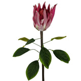 Leaf Protea Sugarbush Artificial Flower Stem with Silk Petals and Wired Stem – 65cm Home Decor, Pink