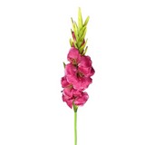 Leaf 115cm Artificial Pink Gladioli Stem – Wired Faux Flower for Vases & Floral Arrangements