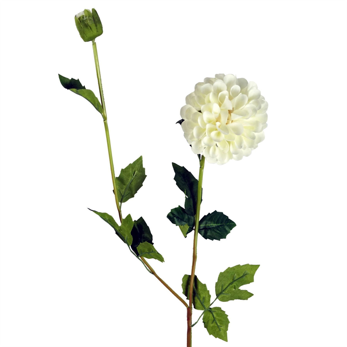 75cm Artificial Dahlia PomPom Flowers – Cream