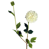 75cm Artificial Dahlia PomPom Flowers – Cream