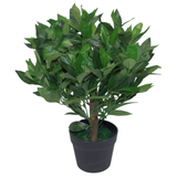 Leaf Design UK Artificial Bay Laurel Topiary Ball Tree, 50cm – Realistic Entrance Plant