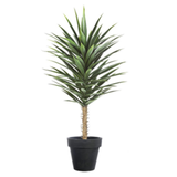 Artificial Yucca Tree in Weighted Pot, 100cm – Realistic Faux Plant for Home & Office