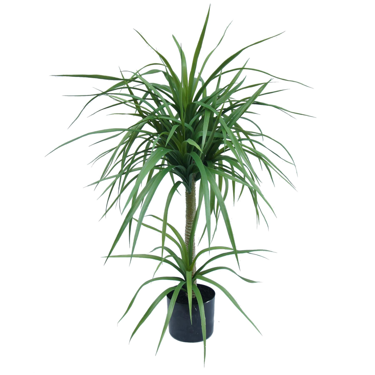 Leaf 90cm Double Dracaena Artificial Plant with Black Pot – Realistic Maintenance-Free Indoor Greenery